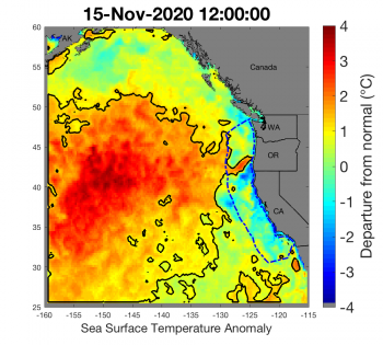 Źródło: NOAA/California Current IEA